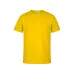 Adult Colour T-Shirt 