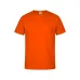 Adult Colour T-Shirt 