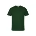 Adult Colour T-Shirt 