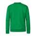 Adult Sweatshirt 