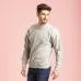 Adult Sweatshirt 