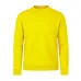 Adult Sweatshirt 