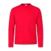 Adult Sweatshirt 
