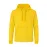 Adult Hooded Sweatshirt 