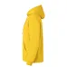 Adult Hooded Sweatshirt 