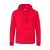 Adult Hooded Sweatshirt 