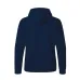 Adult Hooded + Zipper Sweatshirt 