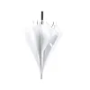 WHITE  +
