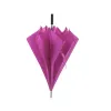FUCHSIA  +