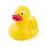 Duck - Koldy
