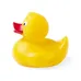 Duck - Koldy