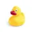 Duck - Koldy