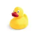 Duck - Koldy