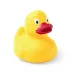 Duck - Koldy