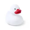WHITE  +