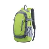 LIGHT GREEN  +