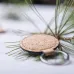 Keyring - Kimbox