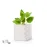 Flowerpot - Merin
