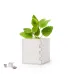 Flowerpot - Merin