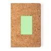 Area 3 (10×10cm)  +