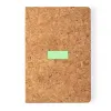 Area 6 (6×0.6cm)  +