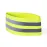 Reflective Armband - Picton