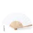 Hand Fan - Woter
