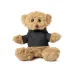 Teddy - Loony