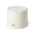 Speaker - Cayren