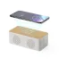 Charger Speaker - Trecam