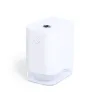 WHITE  +