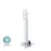 Multifunction Antibacterial Pen - Fruk