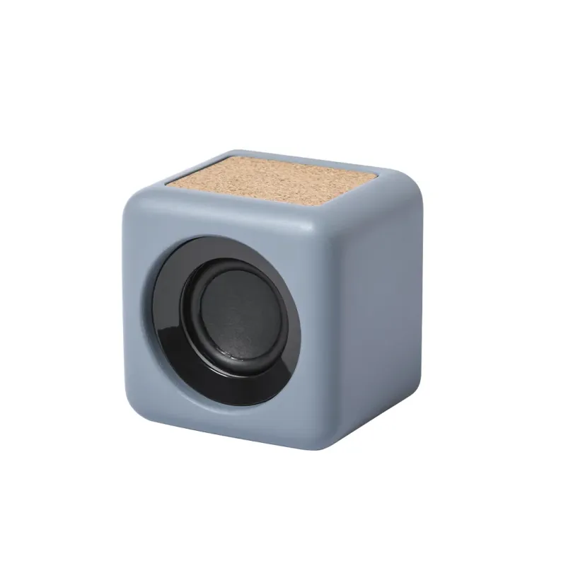 Speaker - Seynol