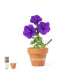 Flowerpot - Soltax
