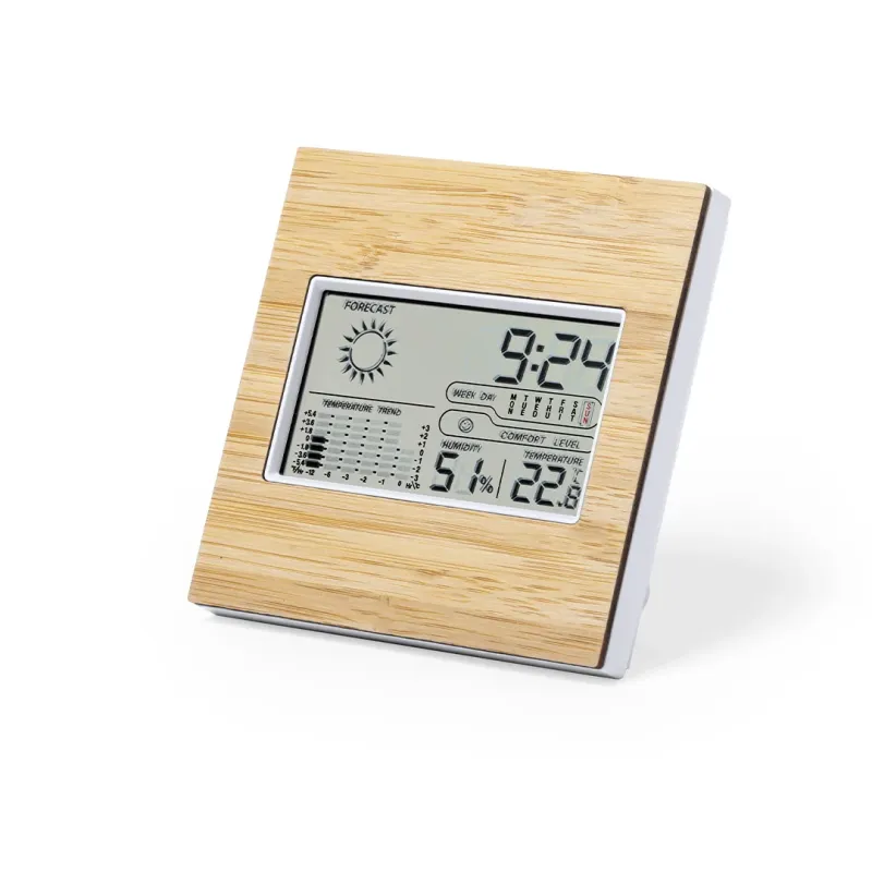 Weather Station - Behox