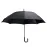 Umbrella - Campbell