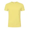 PASTEL YELLOW  +