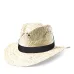 Hat - Lua