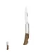 Pocket Knife - Woon