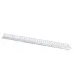 Scale Ruler - Thirty